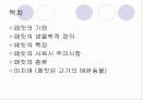 페릿 요점정리 2페이지