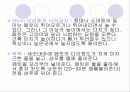페릿 요점정리 17페이지