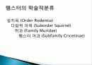 햄스터 요점정리 3페이지