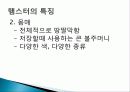 햄스터 요점정리 6페이지