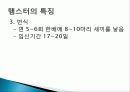 햄스터 요점정리 7페이지
