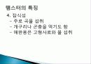 햄스터 요점정리 8페이지