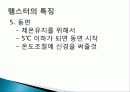 햄스터 요점정리 9페이지