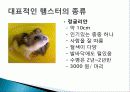 햄스터 요점정리 20페이지