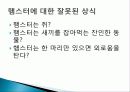 햄스터 요점정리 24페이지
