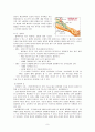신부전 case 9페이지