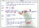 이대참관ppt 4페이지