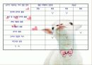 이대참관ppt 11페이지