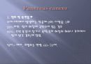 췌장염 16페이지