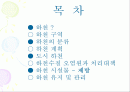 하천 및 제방 2페이지