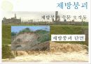 하천 및 제방 17페이지