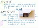 하천 및 제방 19페이지