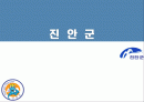 진안군에 대하여 1페이지