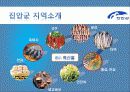 진안군에 대하여 9페이지