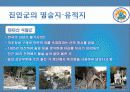 진안군에 대하여 15페이지