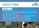 진안군에 대하여 30페이지