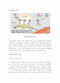 단백질 생합성 10페이지
