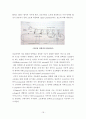 단백질 생합성 16페이지