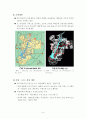 푸트라자야 - 신행정도시 및 신행정수도 해외사례 9페이지