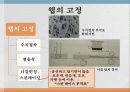 부직포의 특징와 쓰임. 자료의 발표 자료인 ppt 파일입니다 5페이지