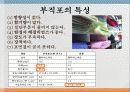 부직포의 특징와 쓰임. 자료의 발표 자료인 ppt 파일입니다 6페이지