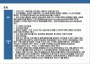 프랑스 경찰의 이해 21페이지