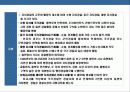 프랑스 경찰의 이해 28페이지