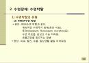 휴식과수면 43페이지