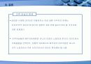 국제결혼의 전 지구적 젠더 정치학 24페이지