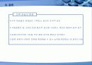 국제결혼의 전 지구적 젠더 정치학 25페이지