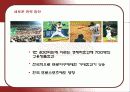 롯데자이언츠의 마케팅 전략과 새로운 방안 17페이지
