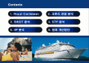 로얄크루즈의 마케팅 전략 분석 2페이지
