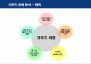로얄크루즈의 마케팅 전략 분석 6페이지