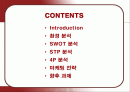 기아자동차 쏘울(Soul)의 마케팅 분석 2페이지