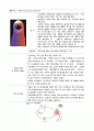각종 기생충의 생활사와 감염경로 5페이지