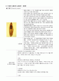 각종 기생충의 생활사와 감염경로 16페이지