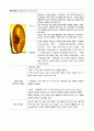 각종 기생충의 생활사와 감염경로 20페이지