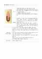 각종 기생충의 생활사와 감염경로 22페이지