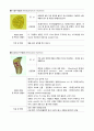 각종 기생충의 생활사와 감염경로 23페이지