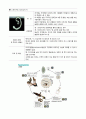 각종 기생충의 생활사와 감염경로 25페이지