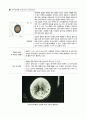 각종 기생충의 생활사와 감염경로 27페이지
