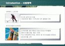 강원랜드의 브랜드 이미지 전략 8페이지