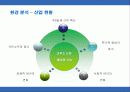로얄케리비안 크루즈의 서비스 마케팅 11페이지