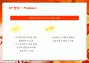 롯데자이언츠의 마케팅 전략 13페이지