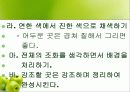 정물화 수업 프리젠테이션 18페이지