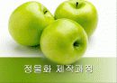 정물화 수업 프리젠테이션 19페이지