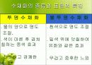 정물화 수업 프리젠테이션 37페이지