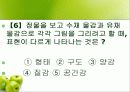 정물화 수업 프리젠테이션 54페이지