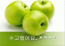 정물화 수업 프리젠테이션 55페이지