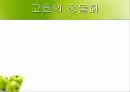 정물화 수업 프리젠테이션 57페이지